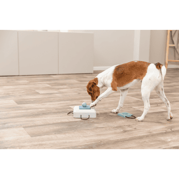 Dog Activity Gamble Box