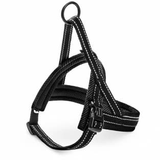 Geschirr Nordic Basic schwarz S