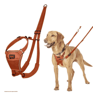No Pull Harness, orange