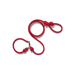 Leine HAND-FREE Strawberry