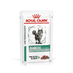 Diabetic Cat - sachet