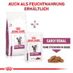 Early Renal Cat