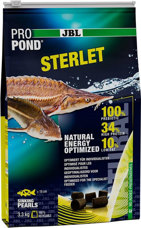 PRO POND Sterlet