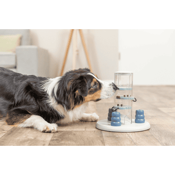 Dog Activity Gambling Tower