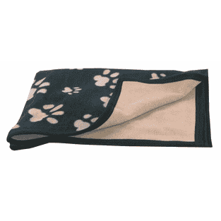 Couverture Pfötli