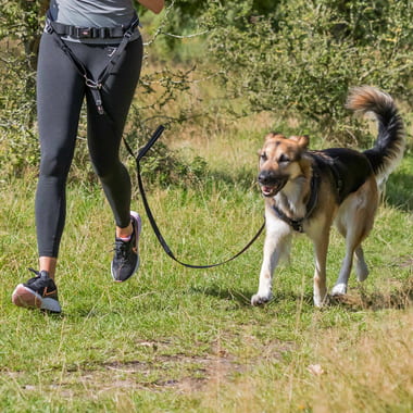 Ceinture ventrale avec laisse pour jogging