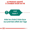 Instinctive 7+ en sauce - sachet