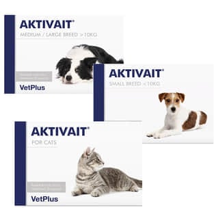 AKTIVAIT