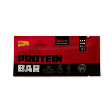 Protein Bar Beef