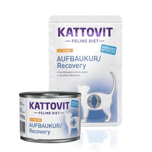 Aufbaukur/Recovery