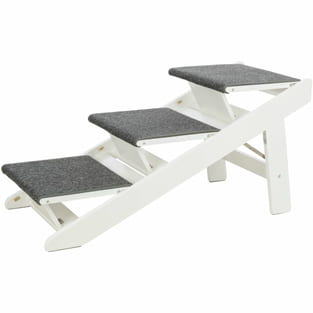 Rampe avec marches dépliables