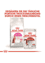 Protein Exigent