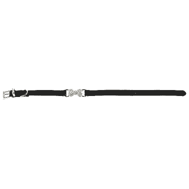 Deluxe Hundehalsband Bone