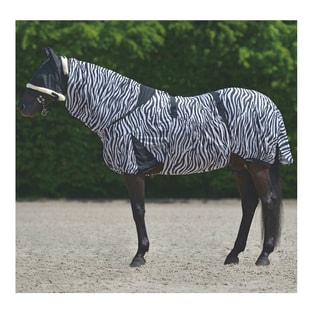 Ekzemerdecke Zebra