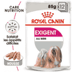 Exigent Wet