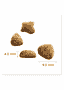 Adult Advanced Indoor mit Huhn