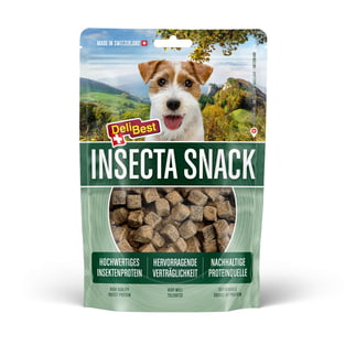 Insecta