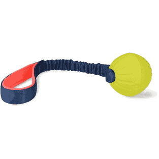 Tuggi Ball