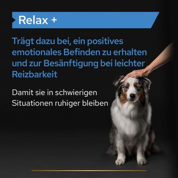 Dog Relax +