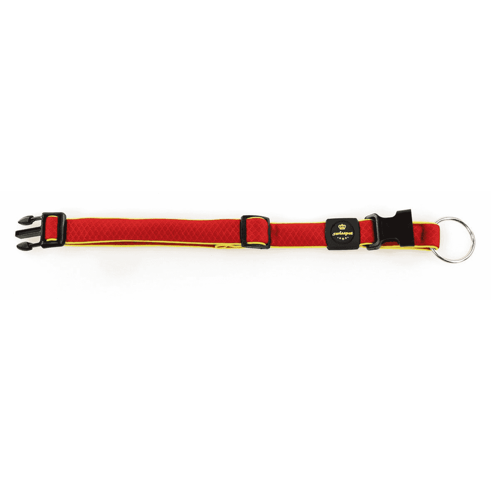Active Dog Collier