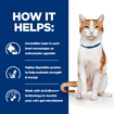 Feline ON-CARE nourish &amp; support