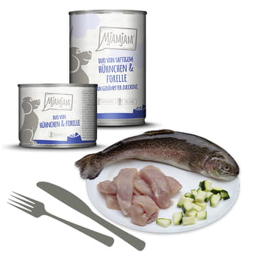Dog DUO - von saftigem Hühnchen & Forelle an gedämpfter Zucchini
