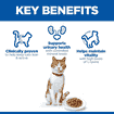 Feline Sterilised Cat Salmon - Fresh Pouches
