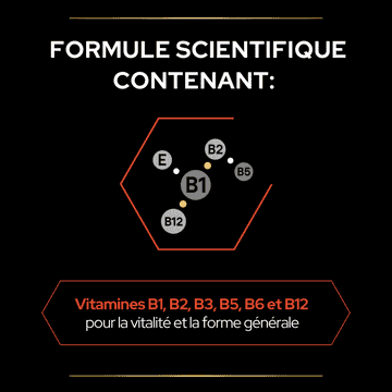 Cat Multivitamins +