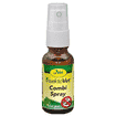 insektoVet Combi Spray