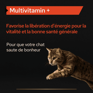 Cat Multivitamins +