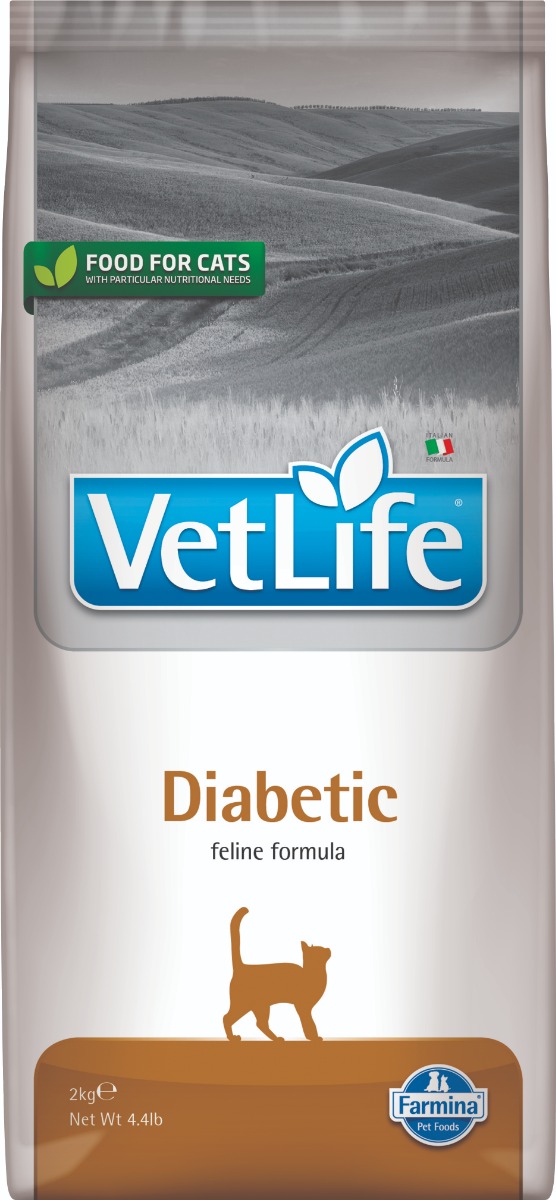 Feline Diabetic
