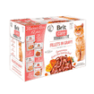 Care Cat Flavour Box - Fillets in Gravy