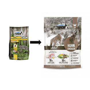 Cat Adult Huhn