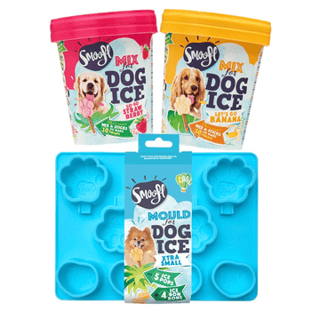 Crème glacée pour chiens