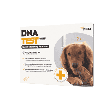 Hunde Rasse DNA-Test
