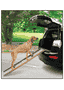 Auto Hunderampe Boarding