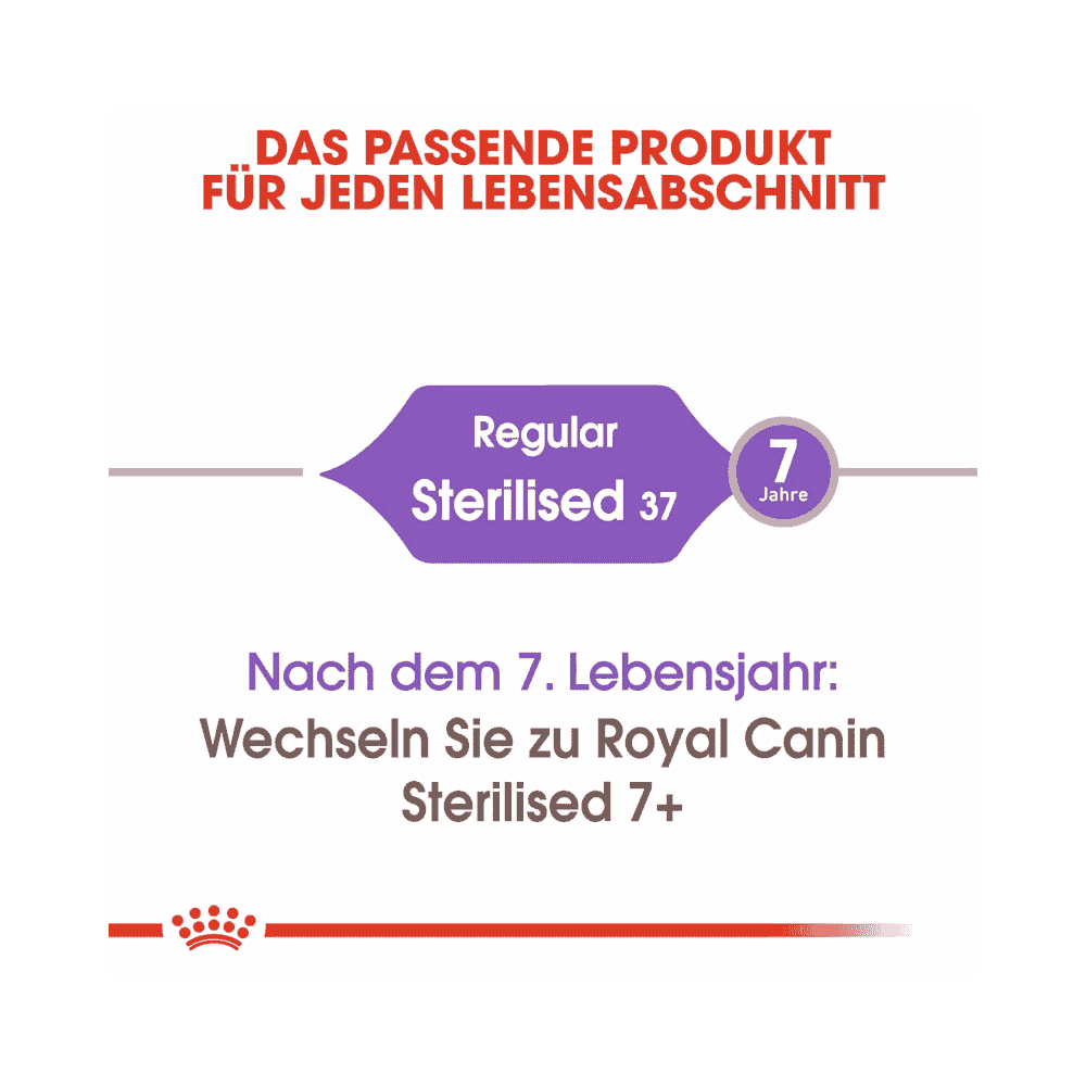 Sterilised 37