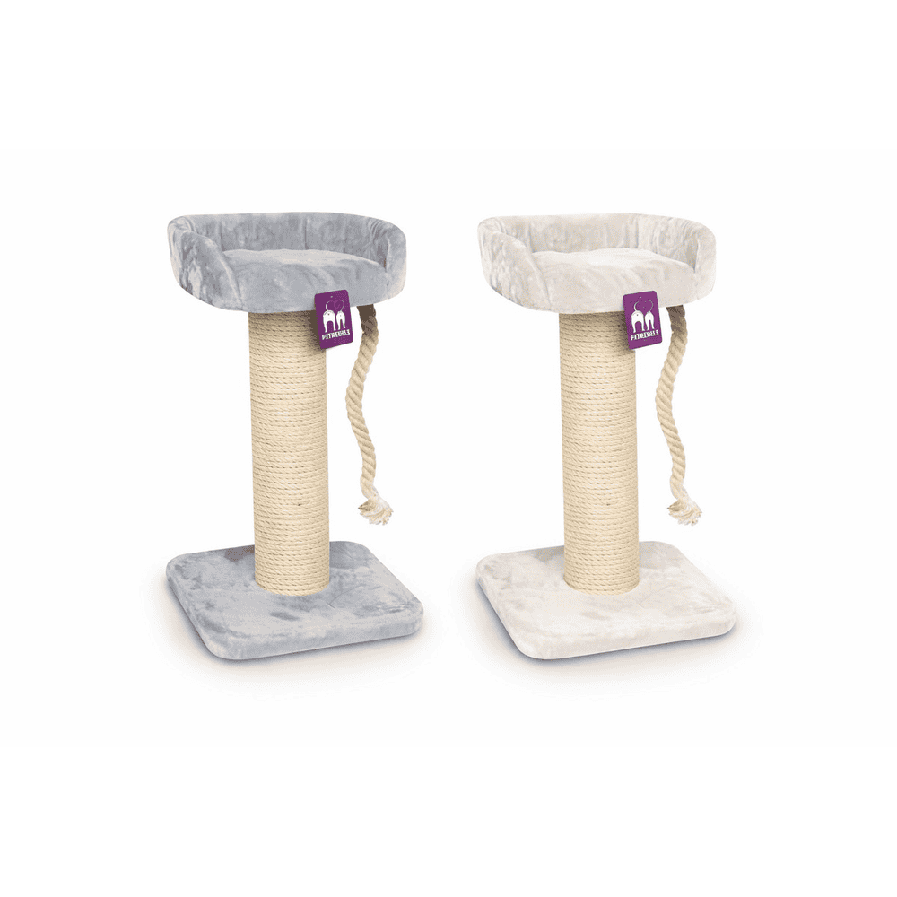 The Rebels Maine Coon 100 cat scratcher
