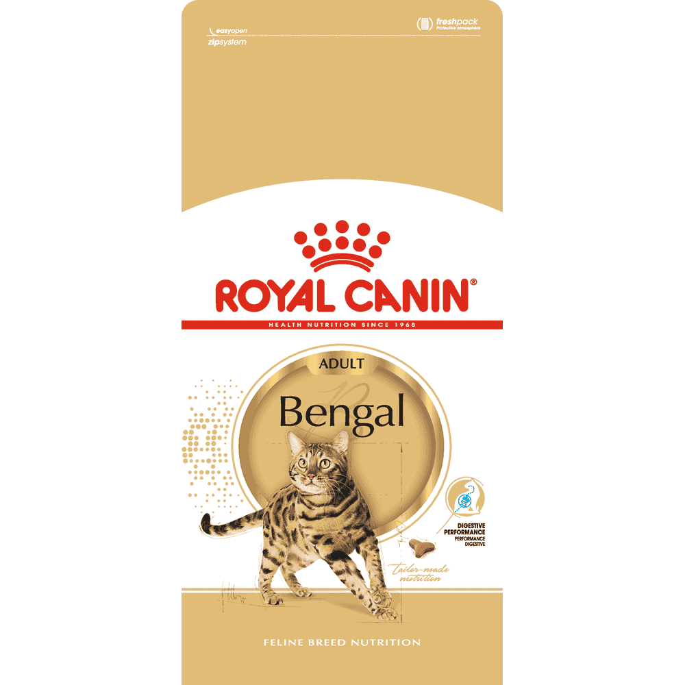 Bengal Adult