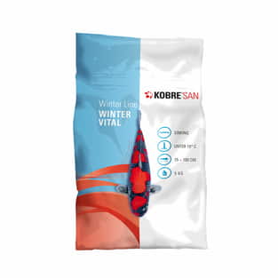 Winter Line Vital