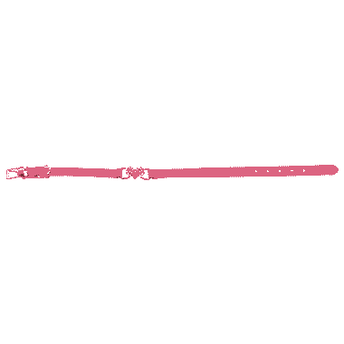 Deluxe Halsband Heart