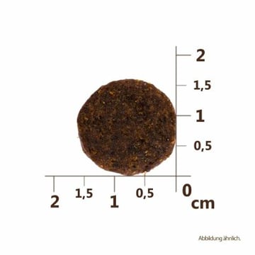 Adult Large Breed - Lachs & Truthahn