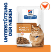 Feline k/d + j/d Kidney + Mobility - Fresh pouches