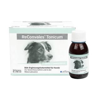 Reconvales Tonicum Hund