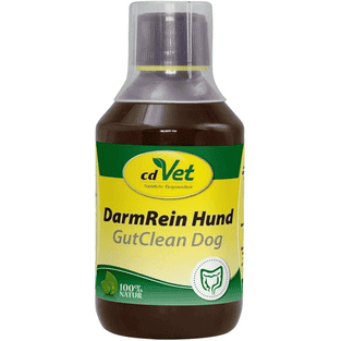 DarmRein Hund