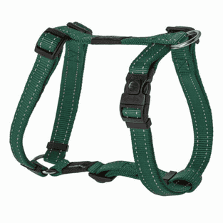 Harnais pour chien Utility vert