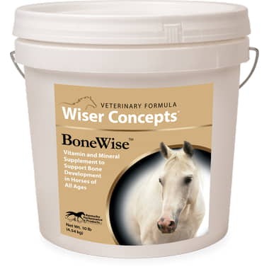BoneWise