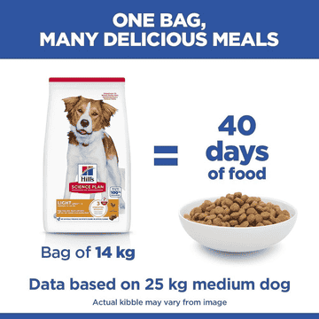 Canine Adult Light Medium Breed
