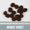 Murray Sunset Balance & Senior dinde & saumon