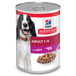 Canine Adult Beef - en boîte